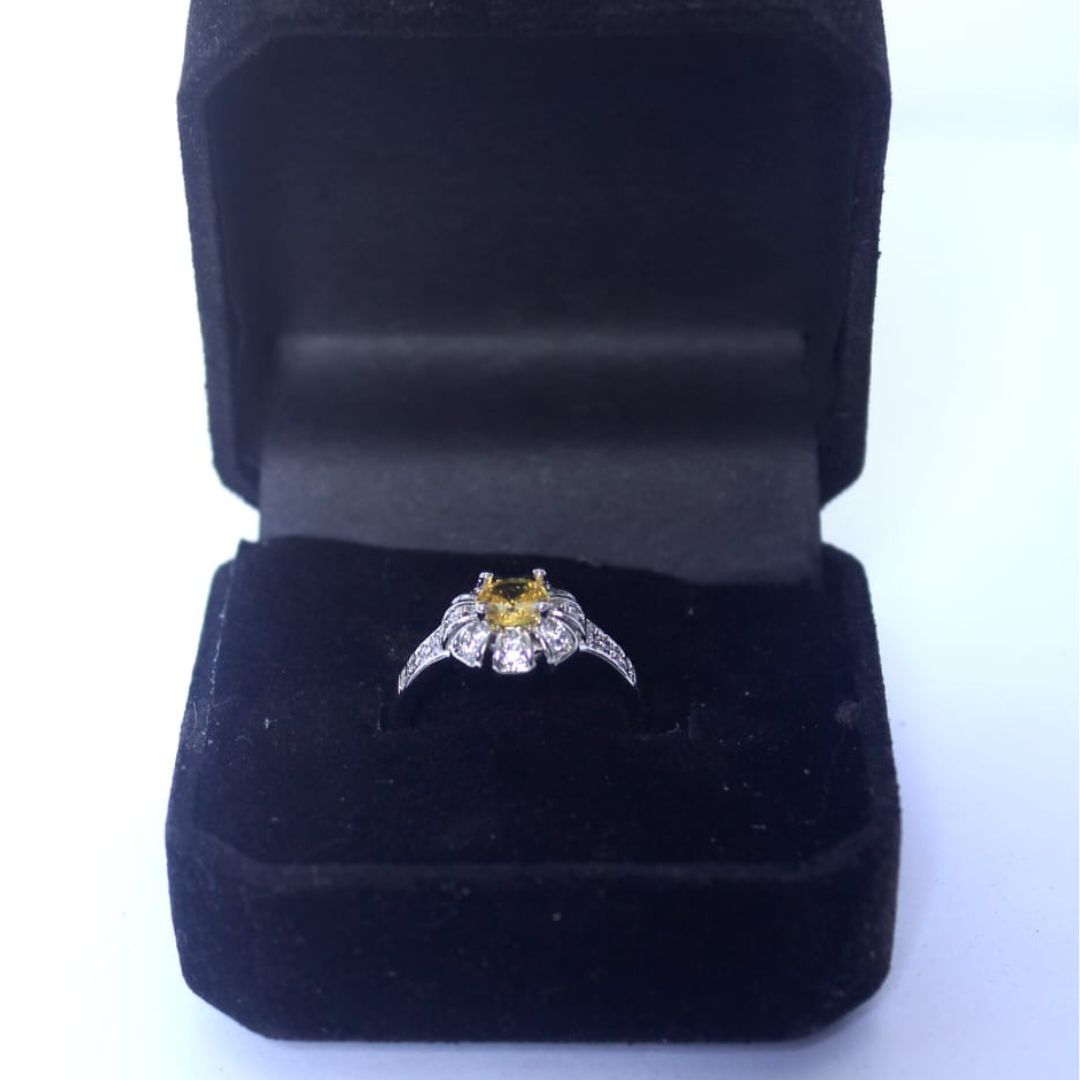 Rings – Fizel